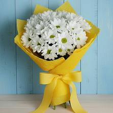 Букет цветов из:  Хризантемы в Стерлитамаке