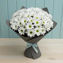 Букет цветов из:  Хризантемы #REPLACE_PRED# Стерлитамаке